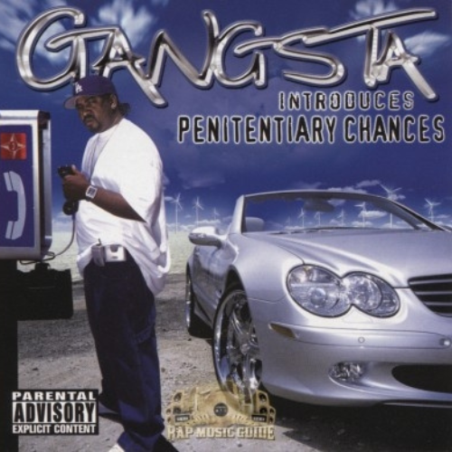 Penitentiary Chances By Gangsta Terrell Anderson